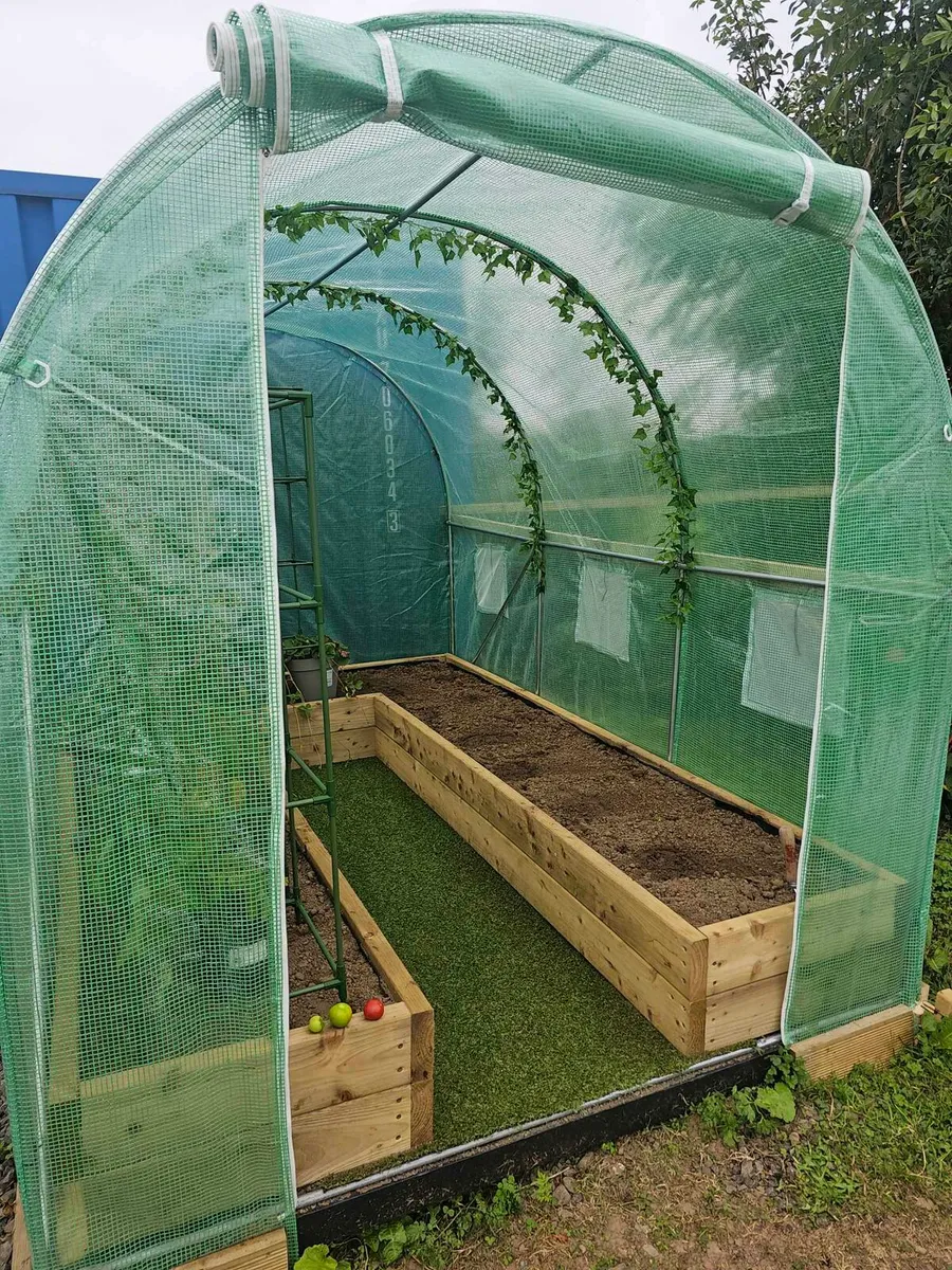 New proplus 3x2mt polytunnel garden growing not gr - Image 1