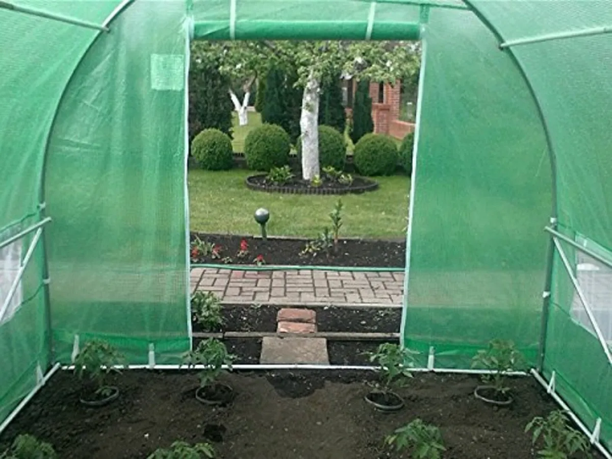 New proplus 3x2mt polytunnel garden growing not gr - Image 3