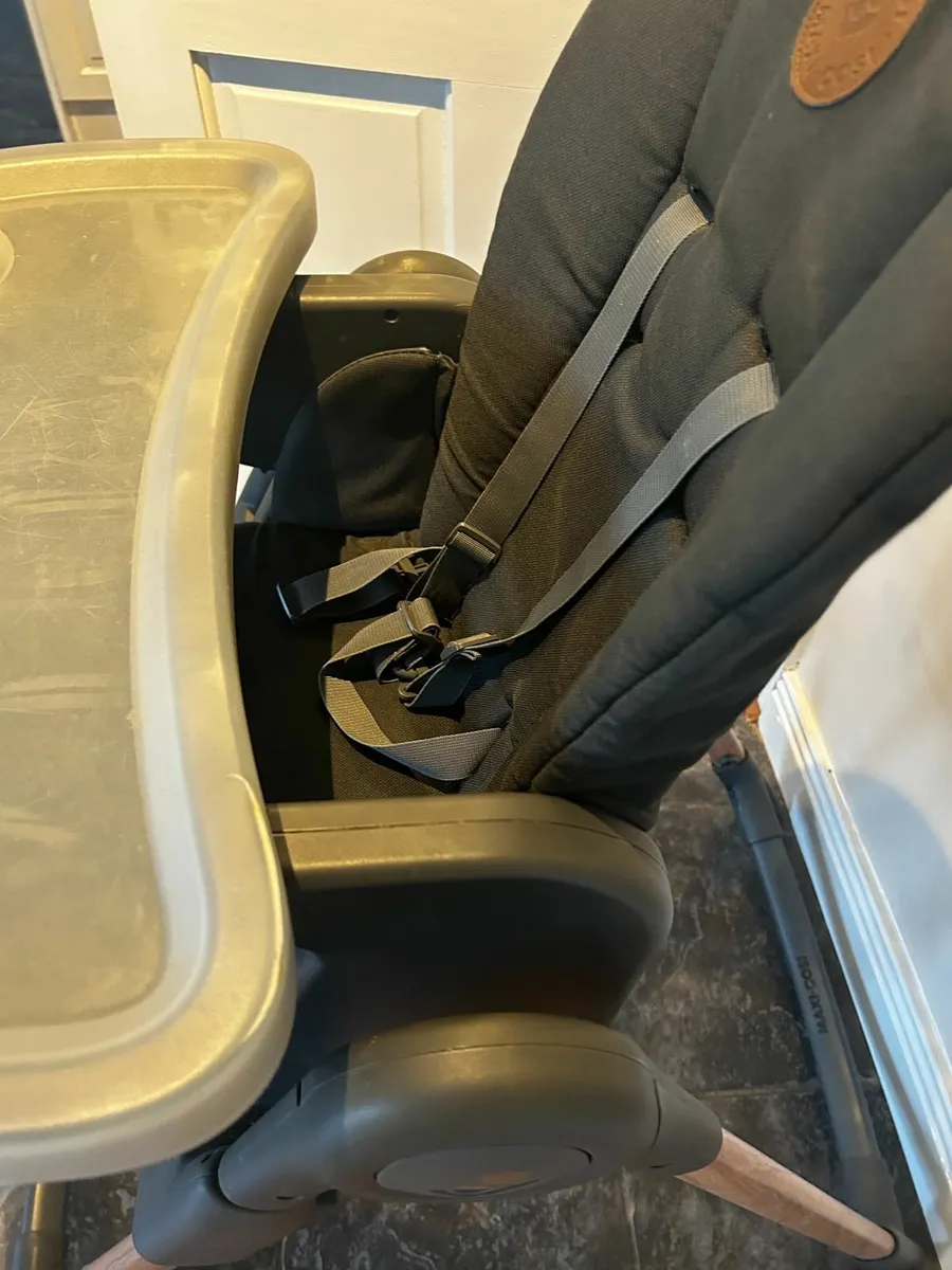 High Chair, Co-sleeper & Bouncer - Image 2
