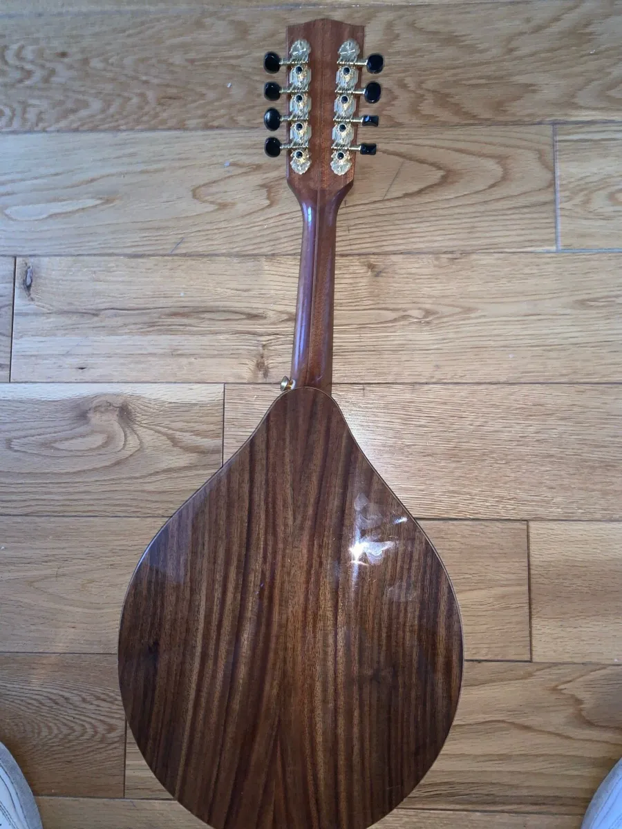 Ashbury Style E Celtic Mandolin, Solid Spruce - Image 2