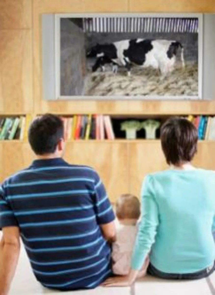 MOORE CALVING & FOALING CAMERAS 4G.  0892504083 - Image 3