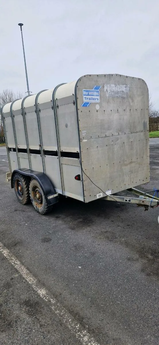 Ifor williams 10x5 - Image 2