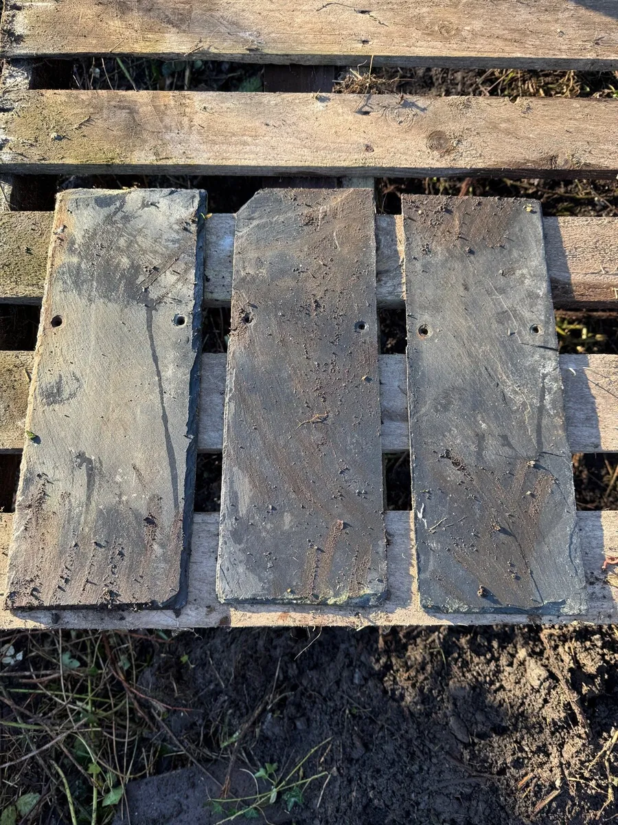 Roof Slates 16 x 6” - Image 1