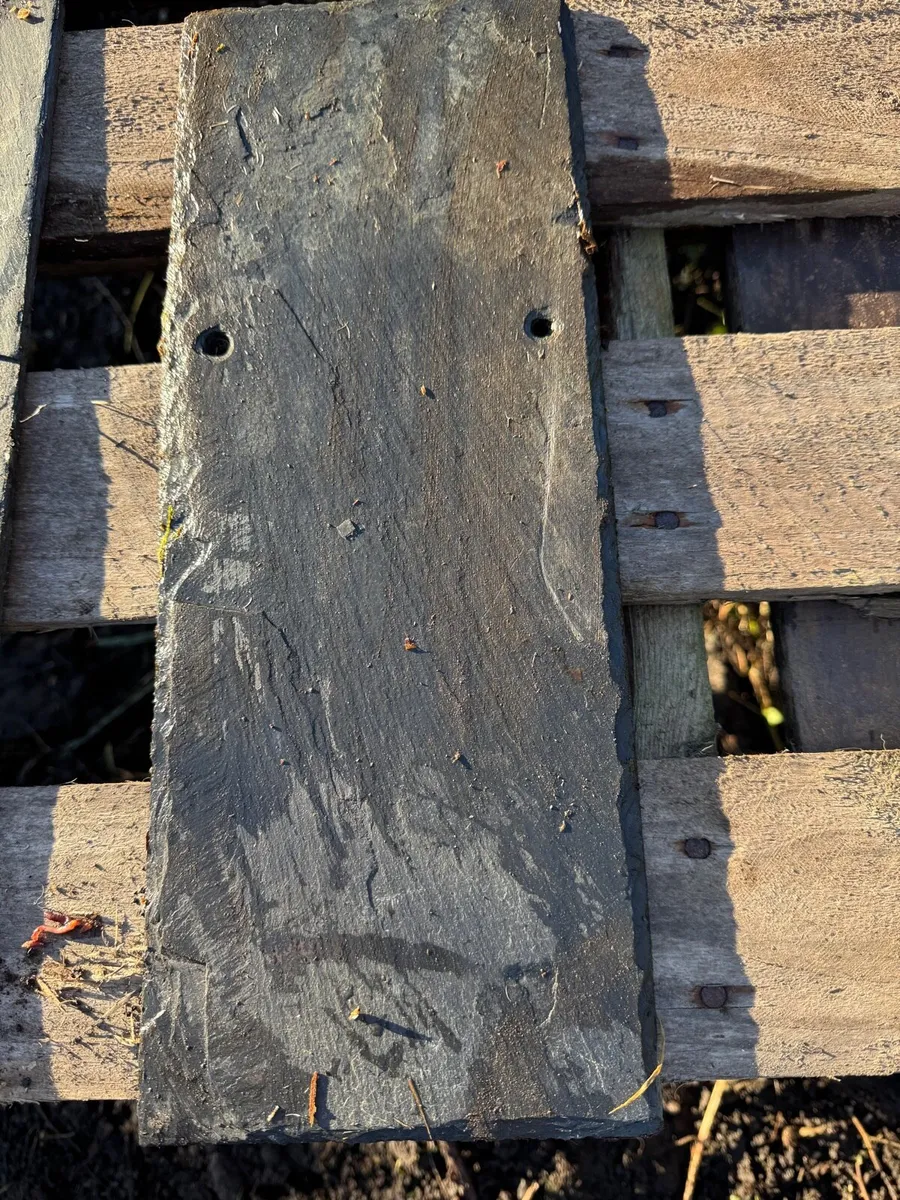 Roof Slates 16 x 6” - Image 3