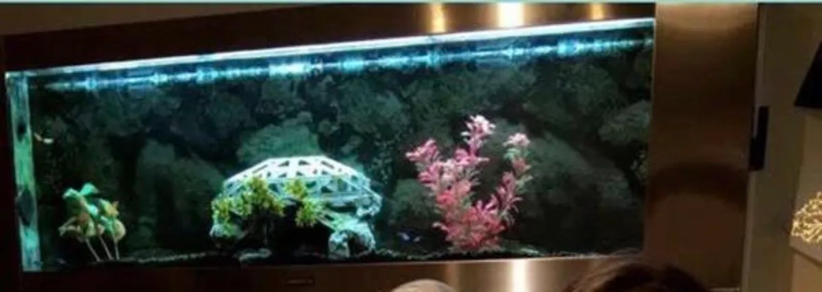 Aquatec wall hung fish tank - Image 3