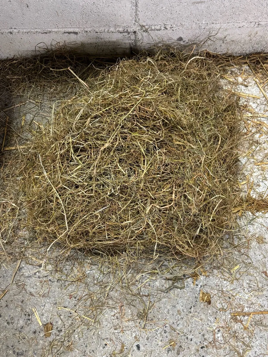 Small Square Bales of Hay, Haylage & Straw - Image 3