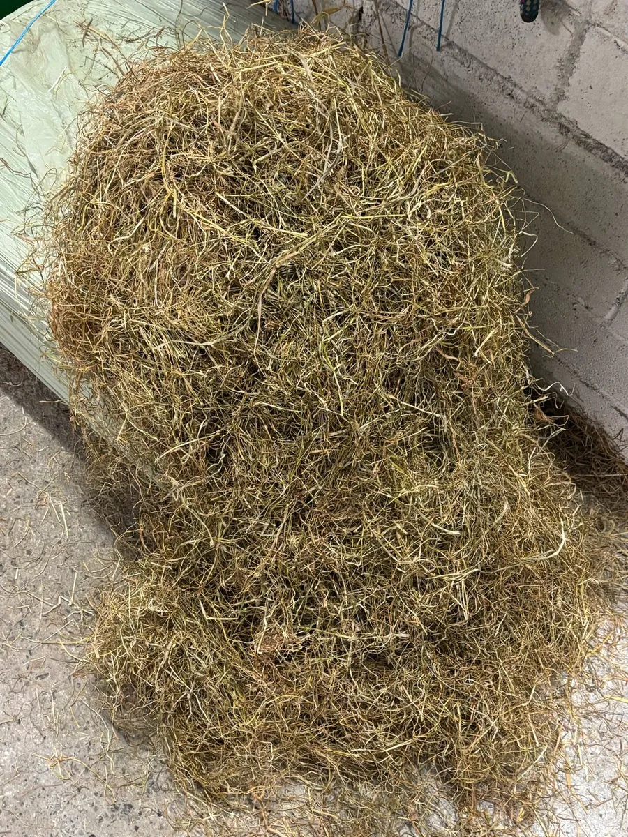 Small Square Bales of Hay, Haylage & Straw - Image 4