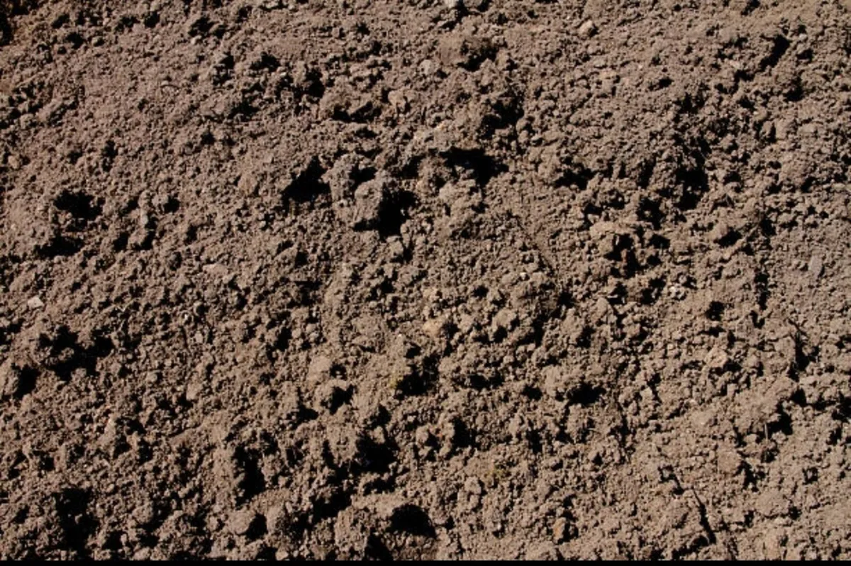 Topsoil - Image 1