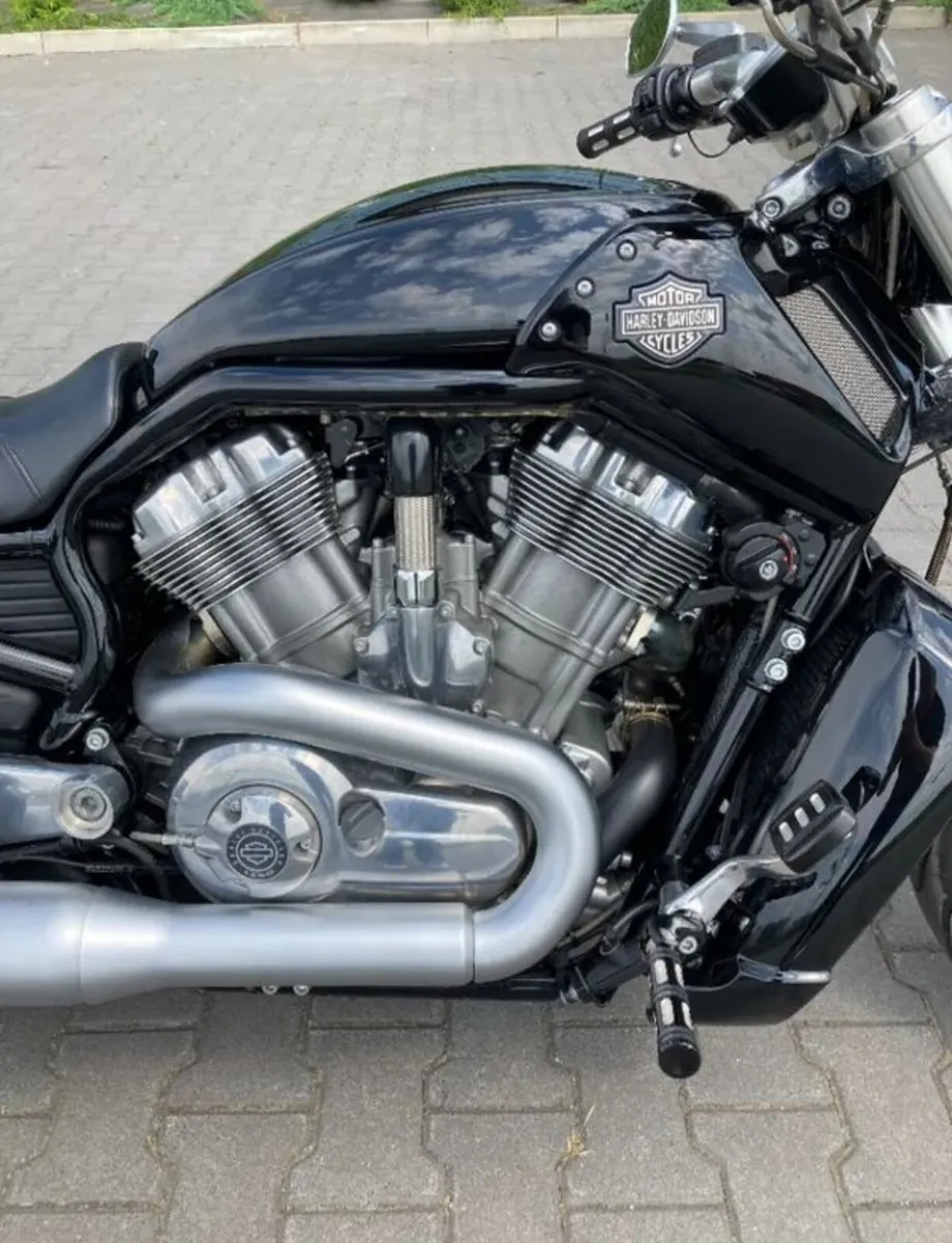 Harley Davidson VRod Muscle 2015 - Image 3