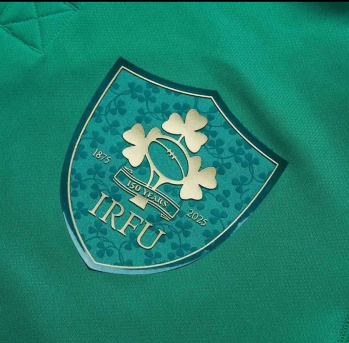Ireland Rugby Jersey Anniversary 25/26 - Image 4