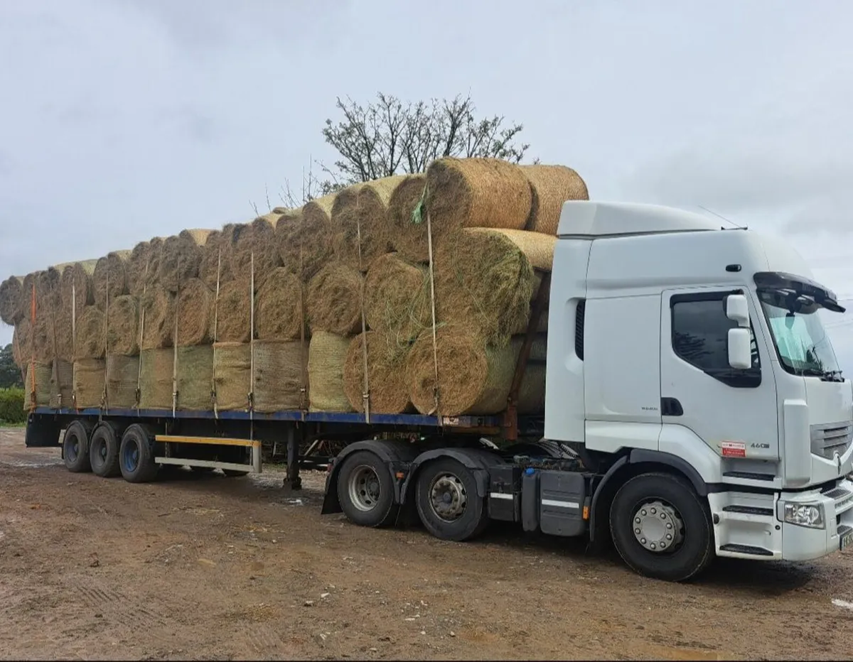 For sale  good quality hay ready to go - Image 2