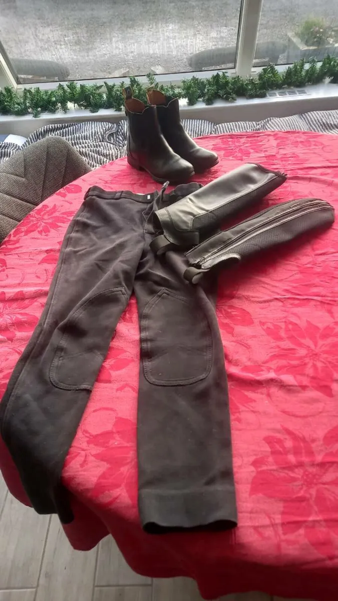 Child's equine gear - Image 1