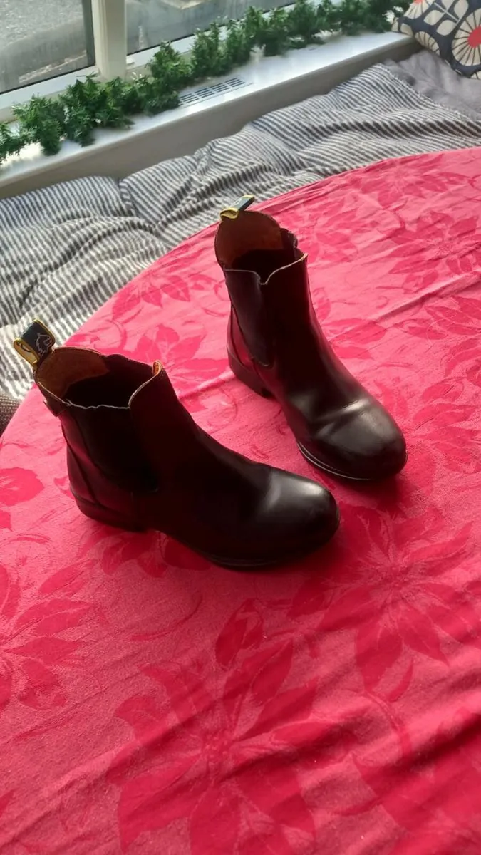 Child's equine gear - Image 2