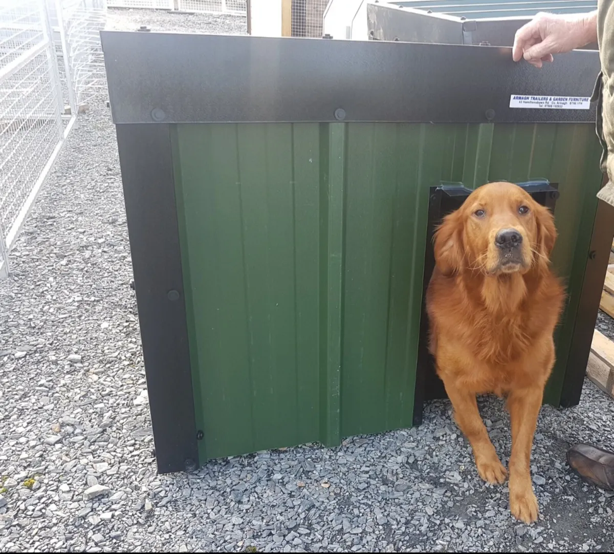 New timber plastic steel insulated dog kennels - Image 1