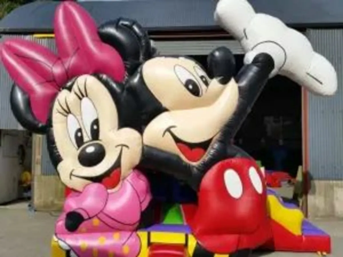 BOUNCY CASTLES - Image 4