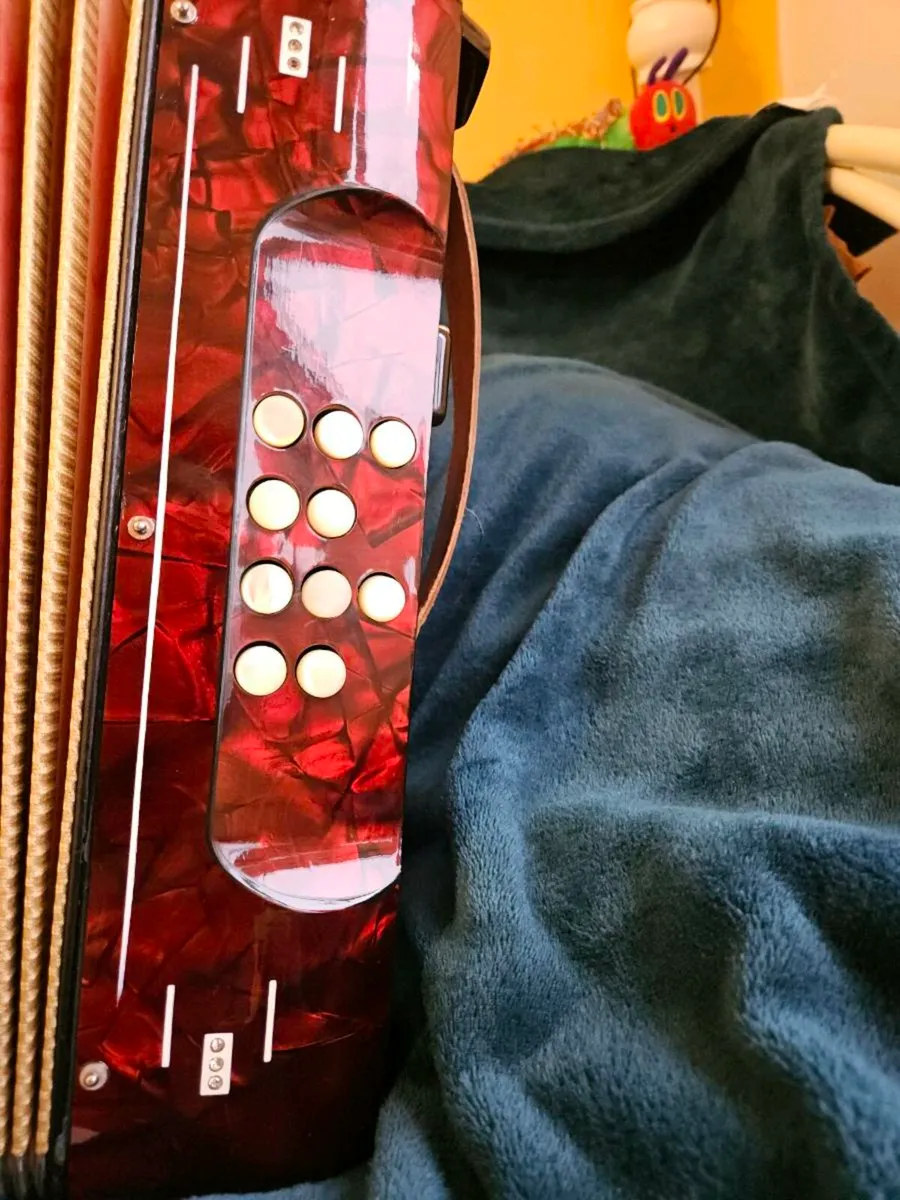 Hohner Accordion - Image 4