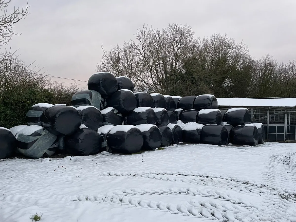 Top Quality Haylage & straw - Image 2