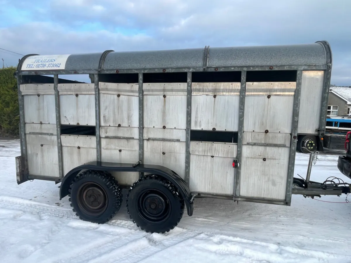 Graham edwards 12ft x 5ft 9” cattle trailer - Image 1