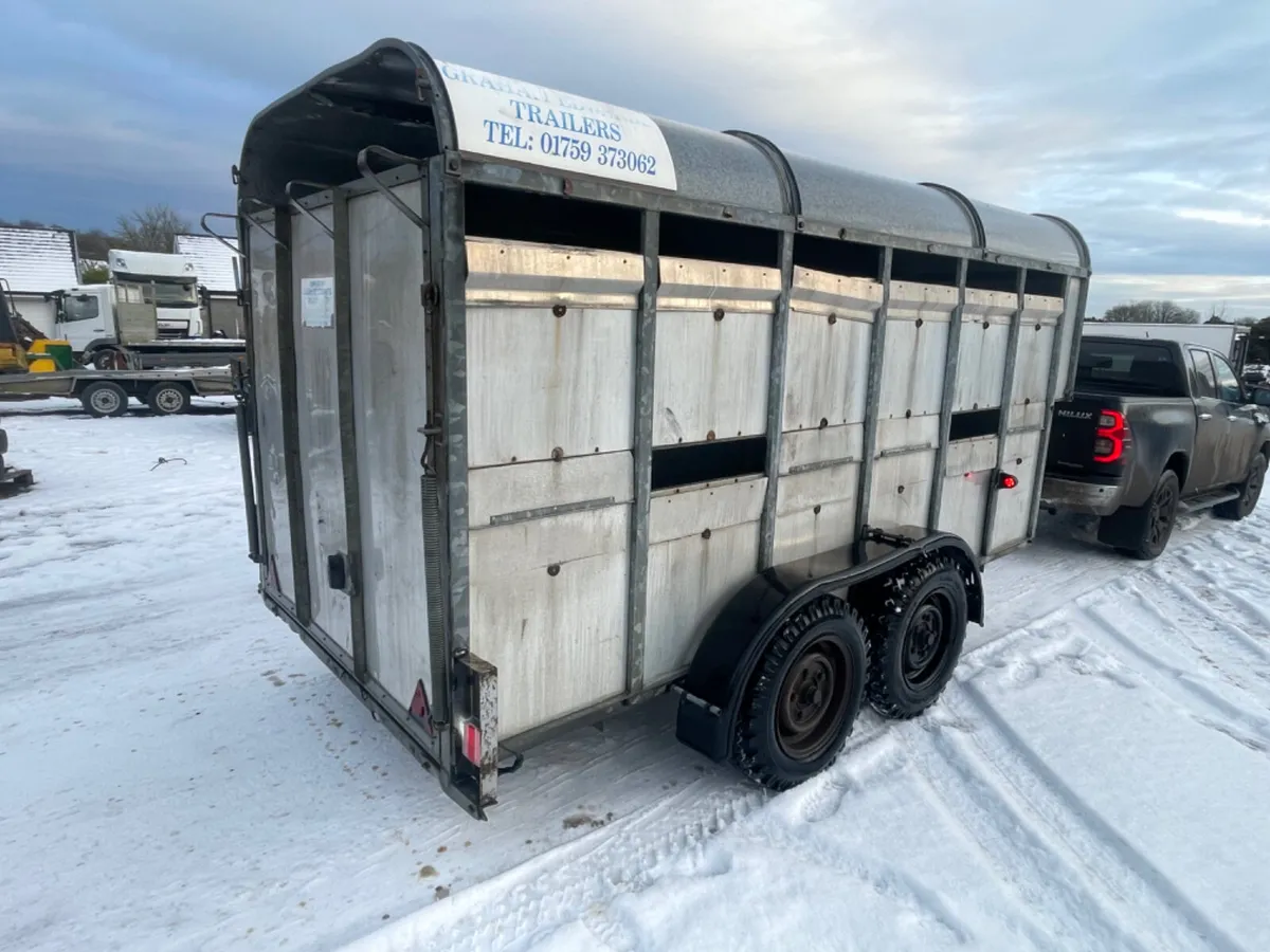 Graham edwards 12ft x 5ft 9” cattle trailer - Image 2