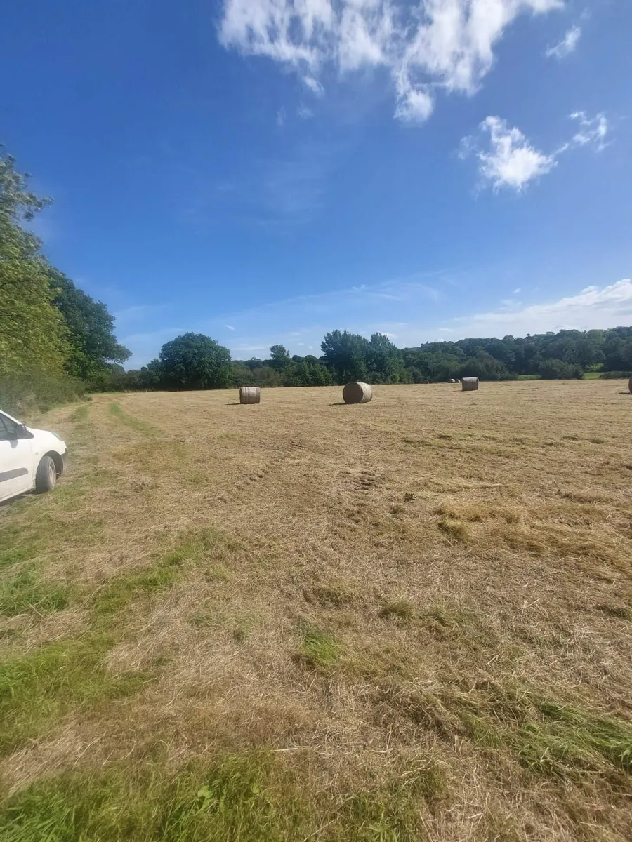 Small square bales of hay and round bales for sale