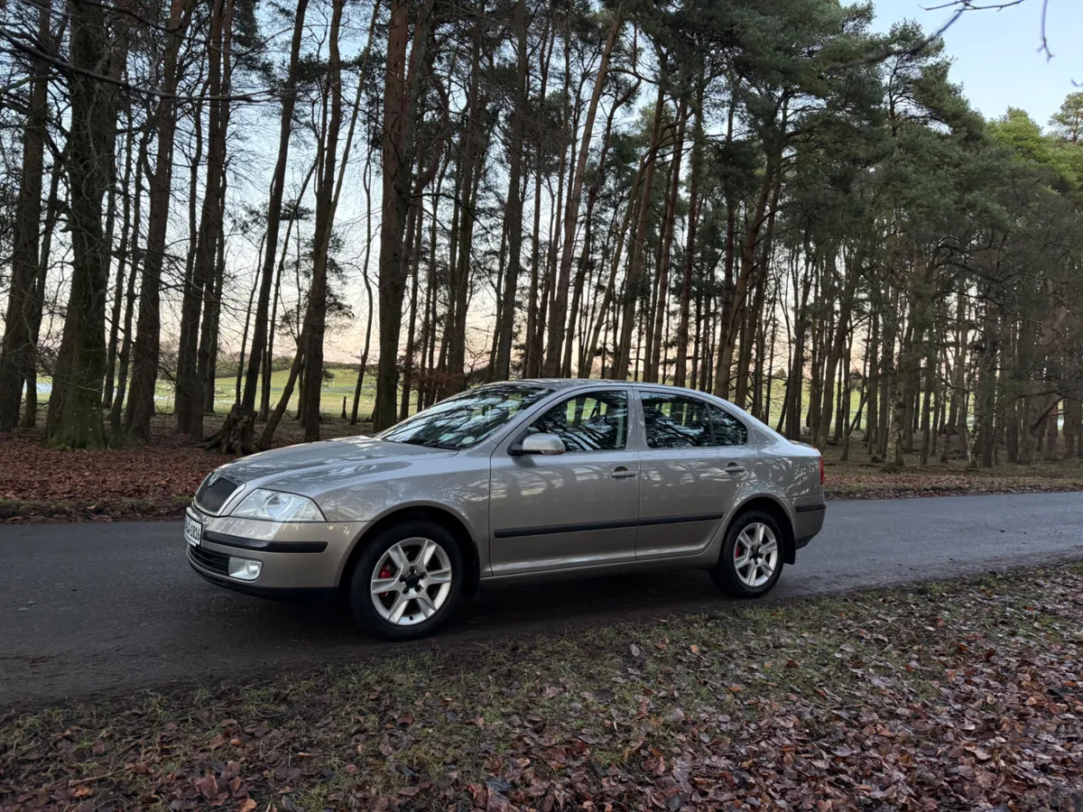 Skoda Octavia 2008 TDI - Image 3