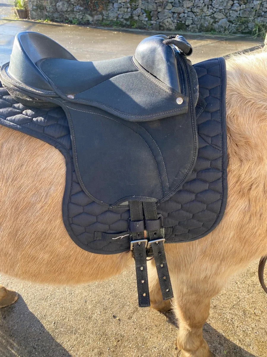TACK, RUGS & EQUESTRIAN ACCESSORIES - Image 2