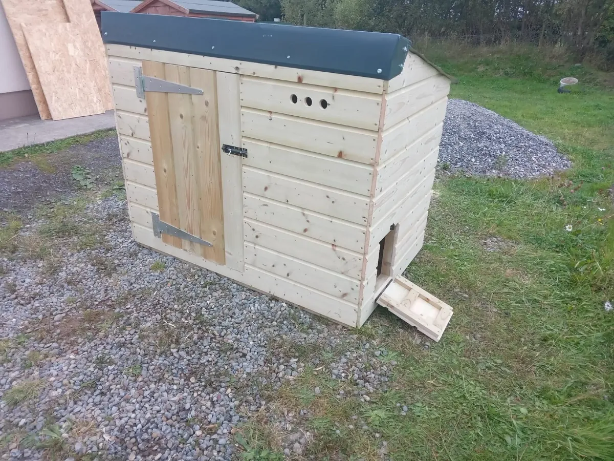 Duck Coops - 💥Nationwide Delivery💥 - Image 2
