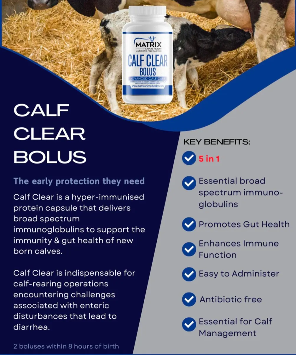 Calf Clear Capsules - Optimising Calf Survival - Image 3