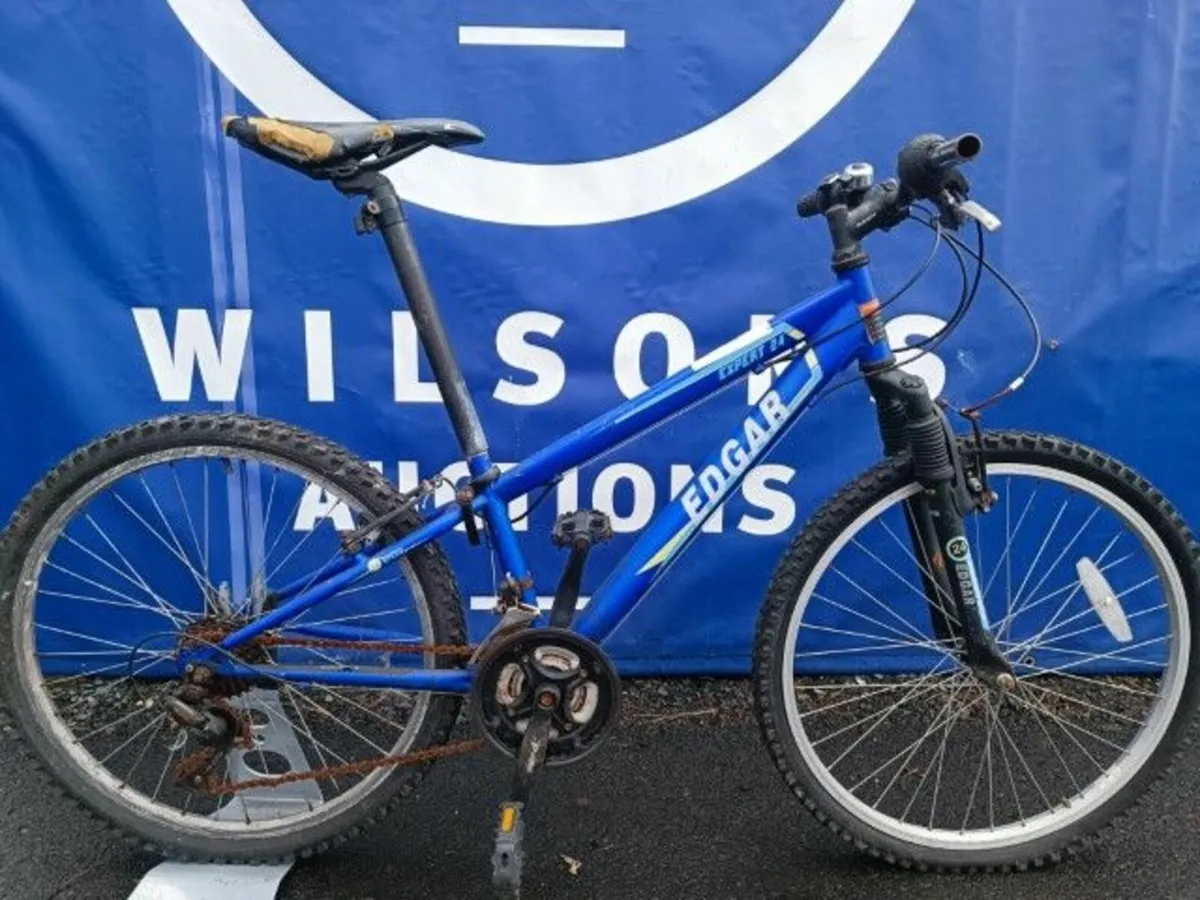 Online Auction of a Junior Mountain Bike for sale in Co. Dublin for 200 on DoneDeal
