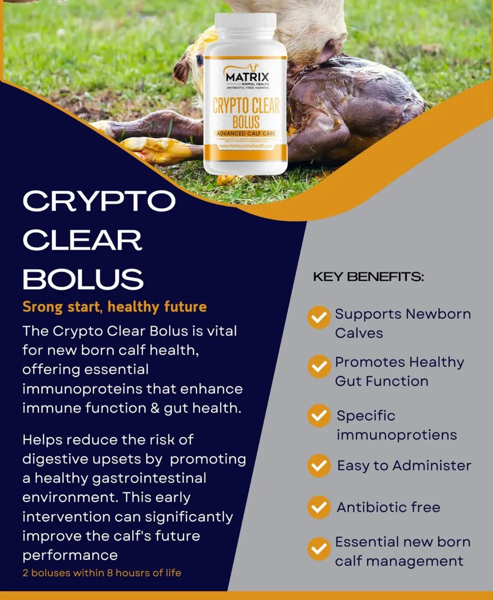 Cryptoclear Capsules - Crypto Prevention - Image 2