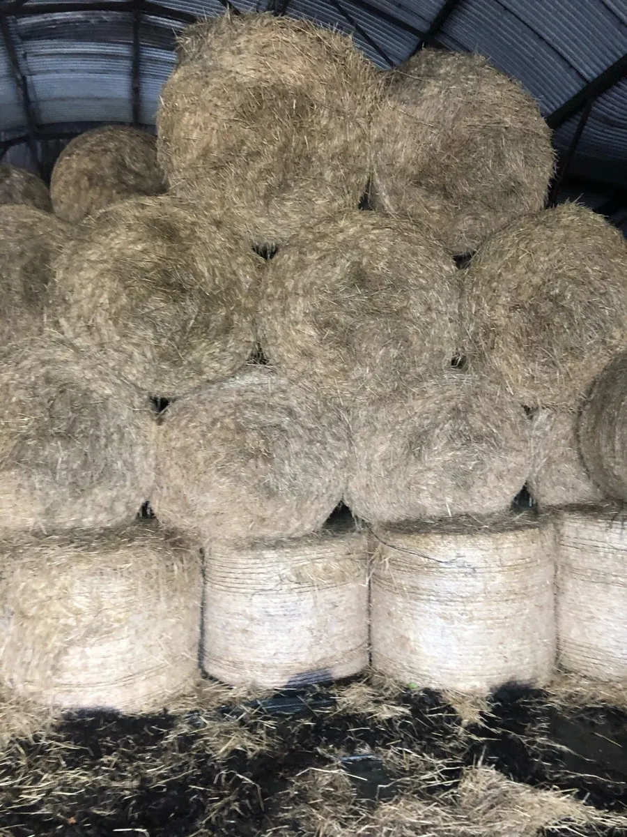 Straw  Bales Barley 4 by 4