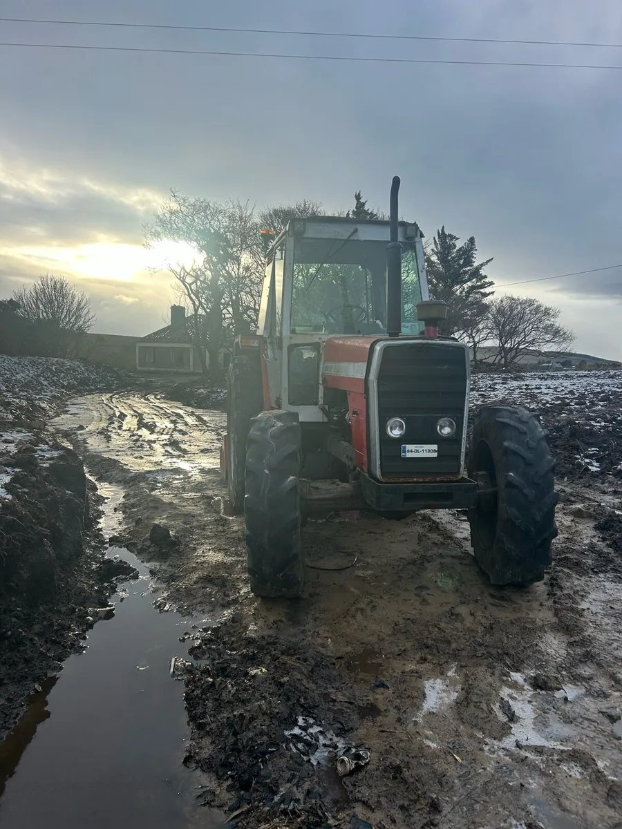 Massey Ferguson - Image 4