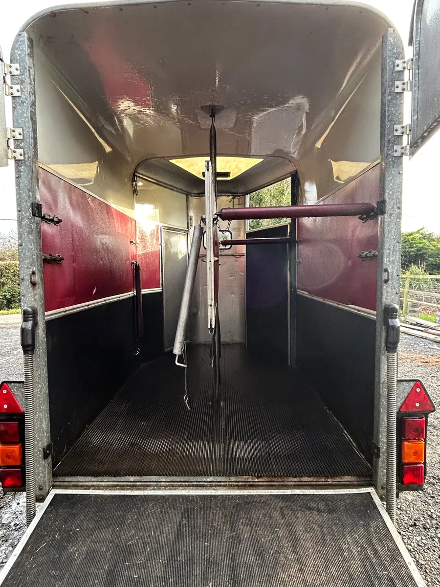 Ifor Williams HB505 Horsebox - Image 4