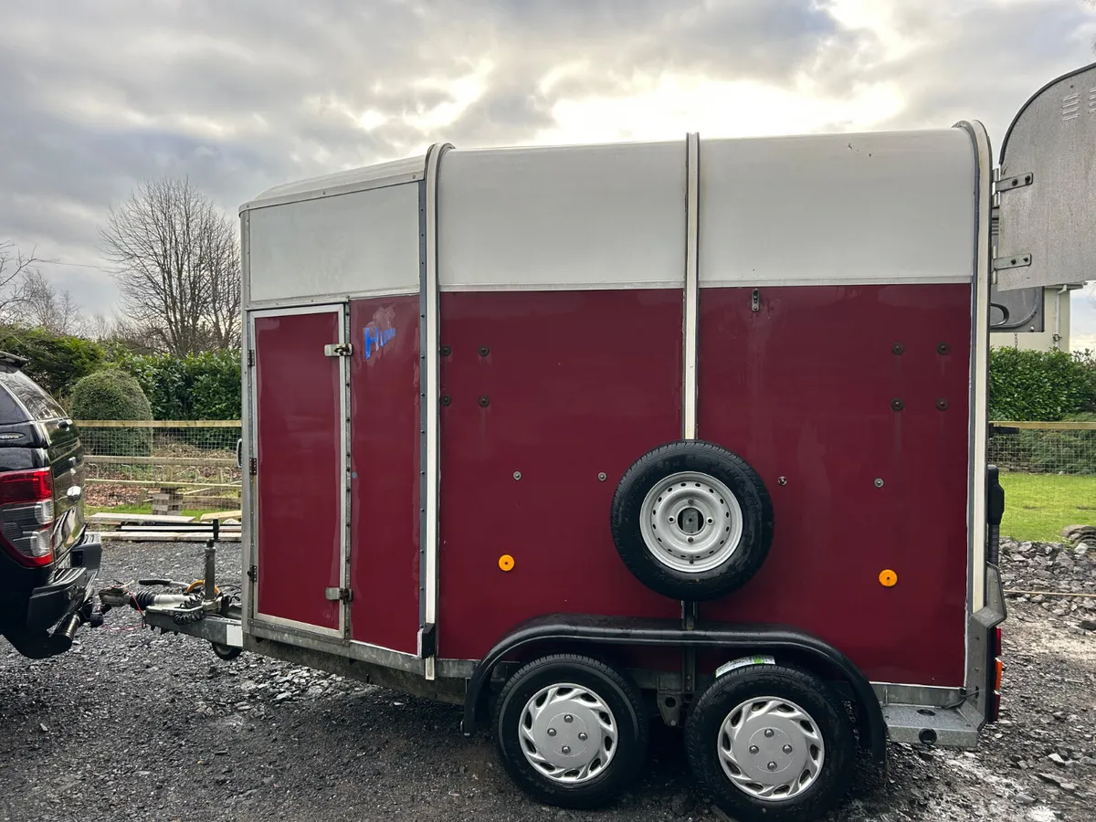 Ifor Williams HB505 Horsebox - Image 3