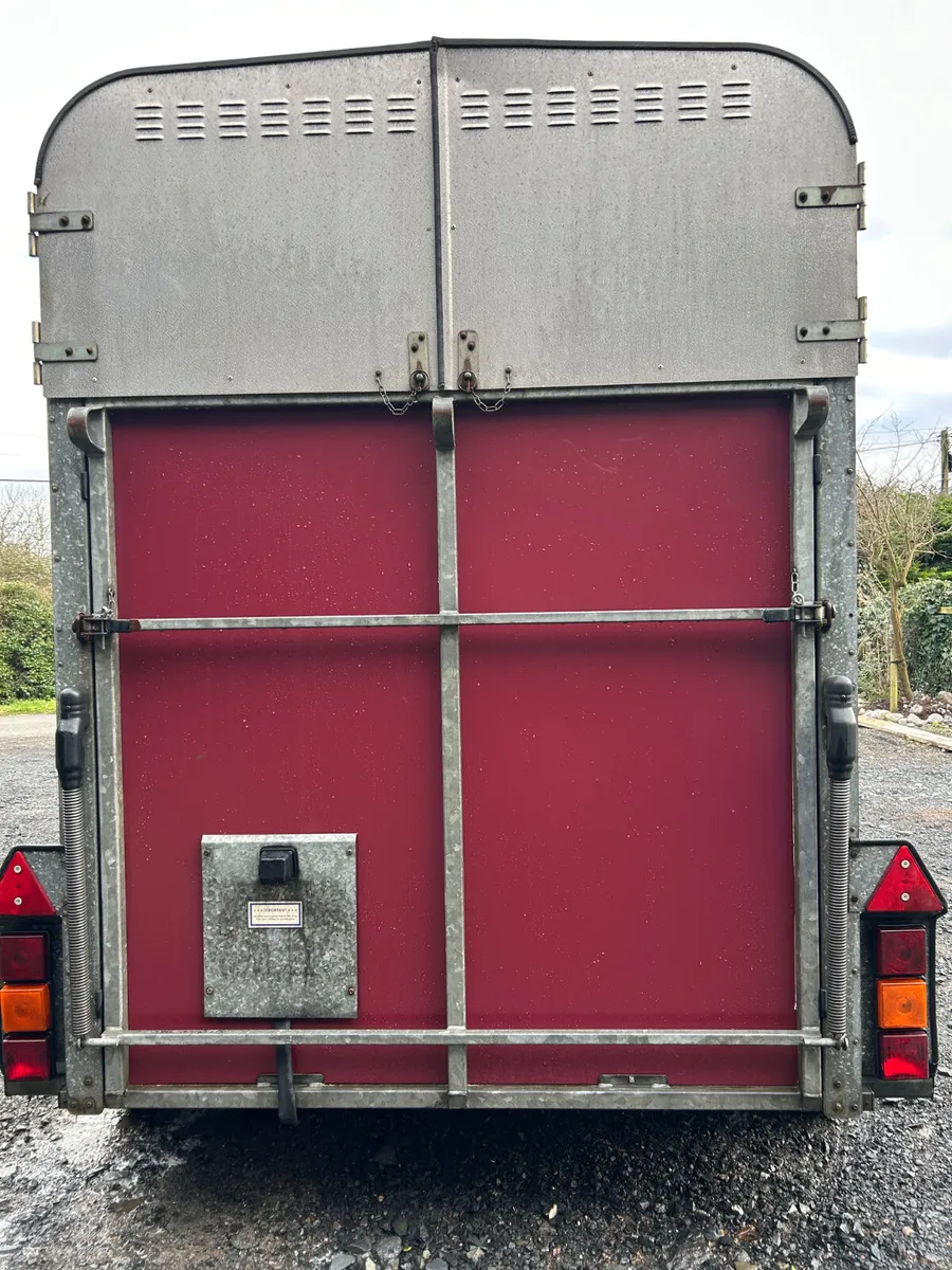 Ifor Williams HB505 Horsebox - Image 2