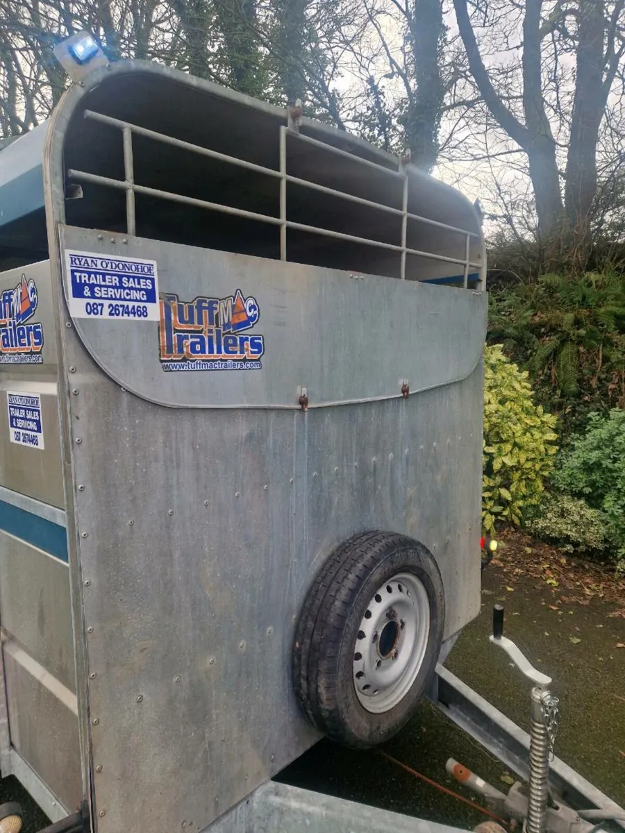 14ft tuff mac cattle trailer - Image 4