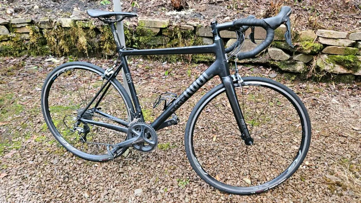 Rose Pro SL - Image 2
