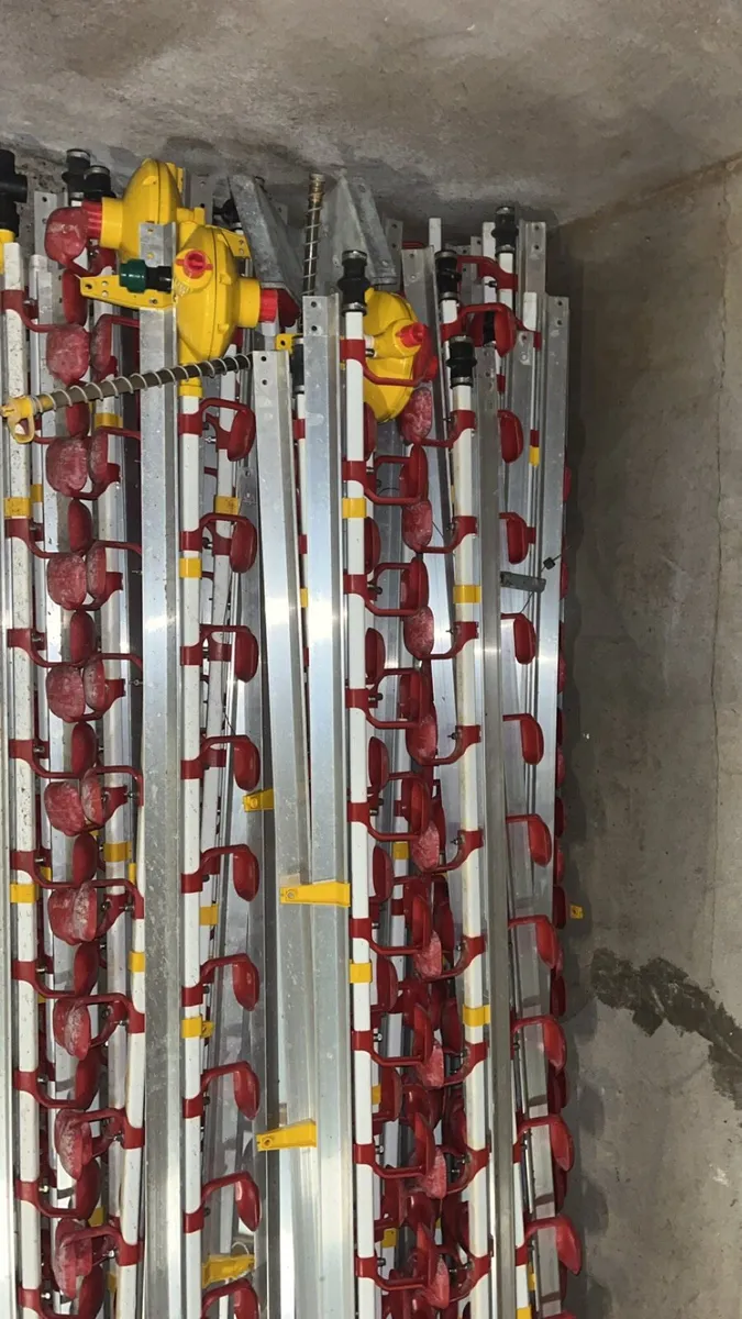 Poultry equipment - Image 1