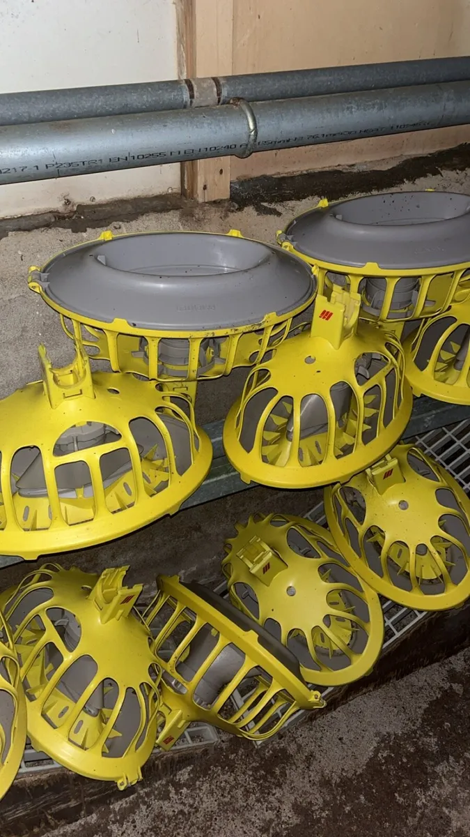 Poultry equipment - Image 3