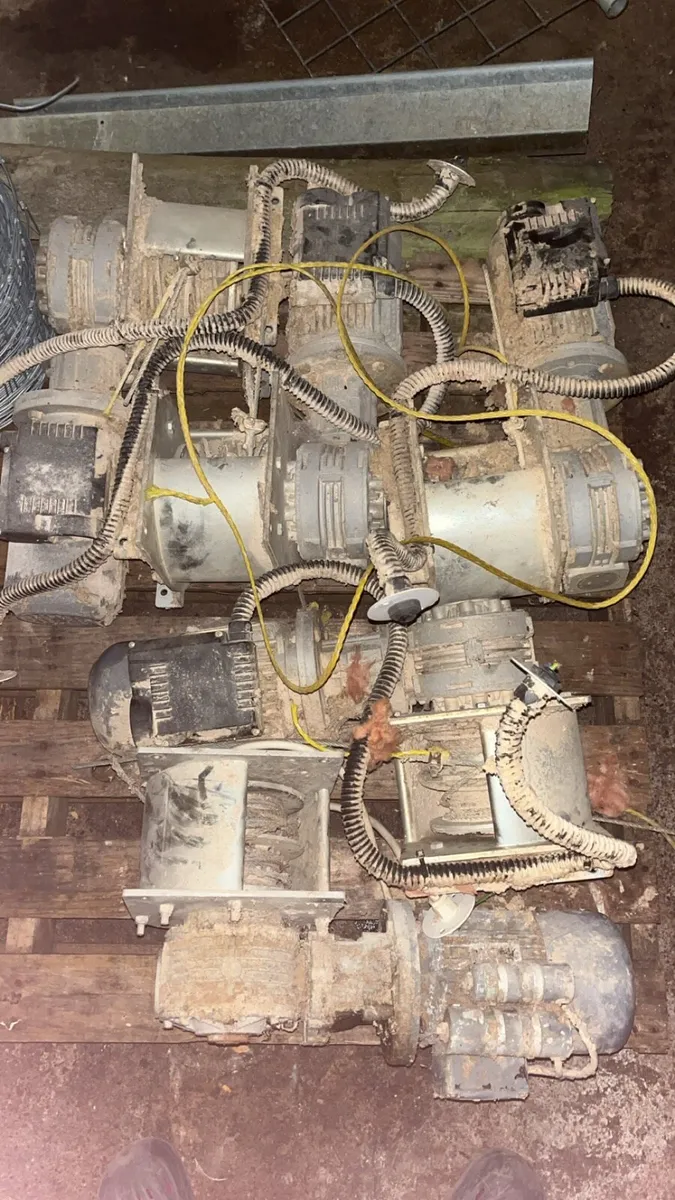 Poultry equipment - Image 4