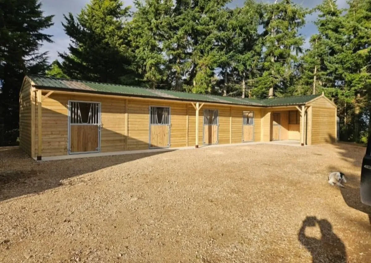 TOP QUALITY STABLES AND SHELTERS - Image 1