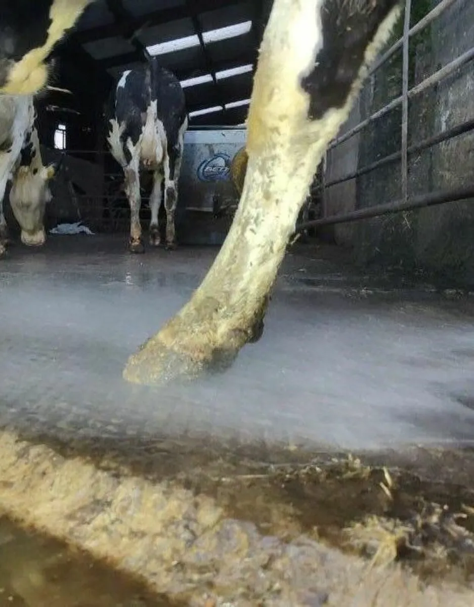 HoPh - Fully Auto Hoof Treatment - Image 1