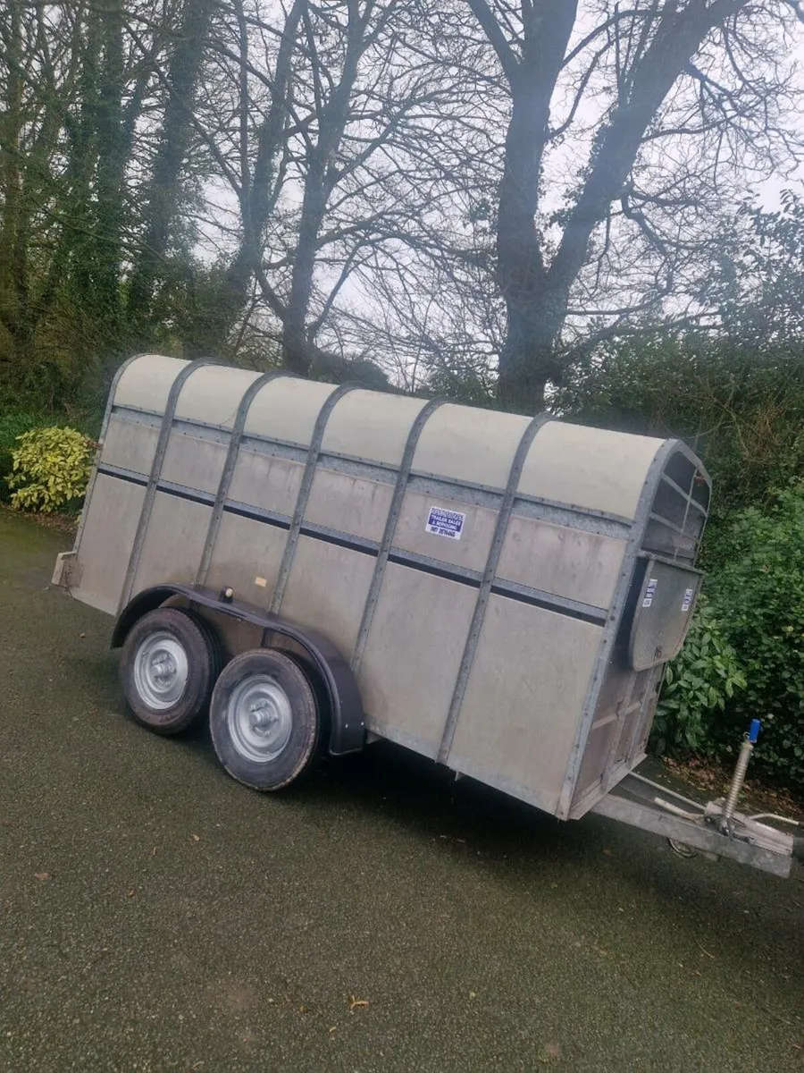 12ft murphy cattle trailer - Image 1