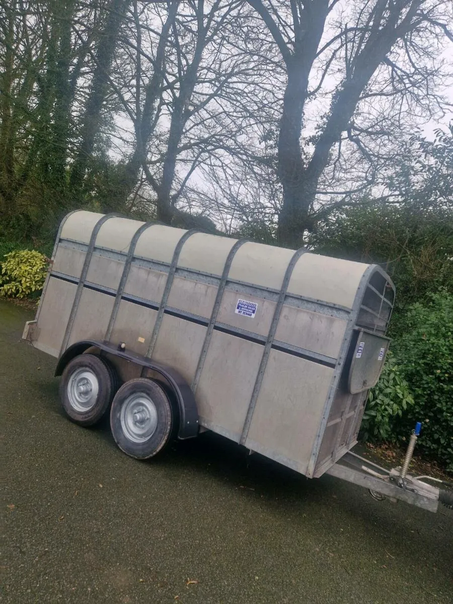 12ft murphy cattle trailer - Image 2