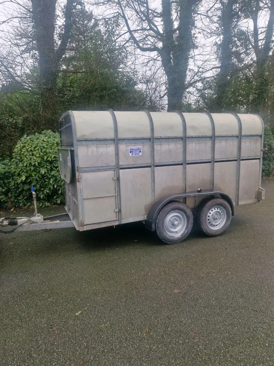 12ft murphy cattle trailer - Image 3