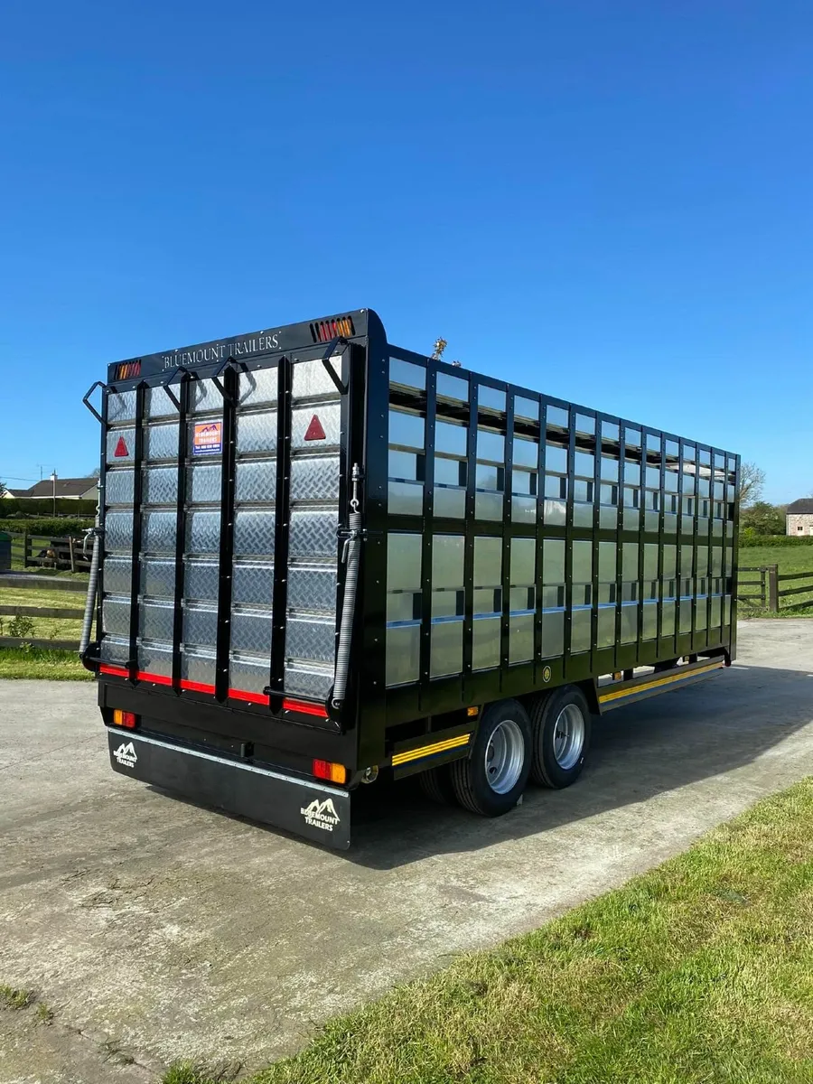 Bluemount Trailer - Image 2