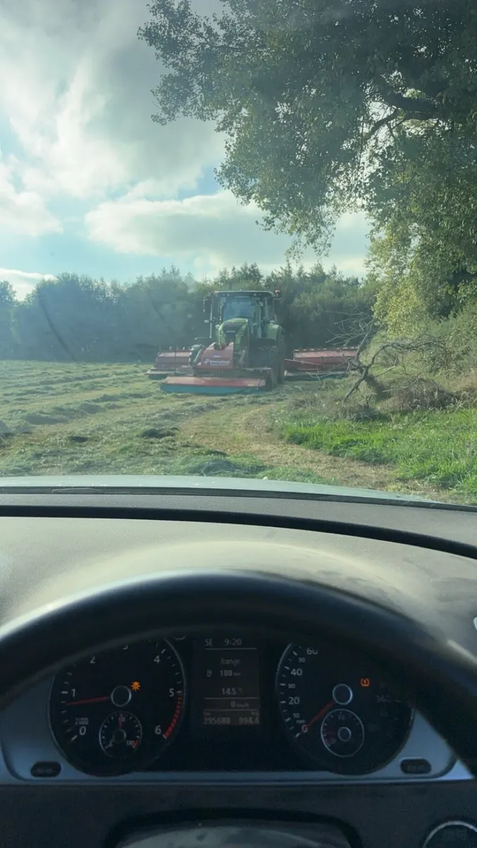 50 bales of silage for sale
