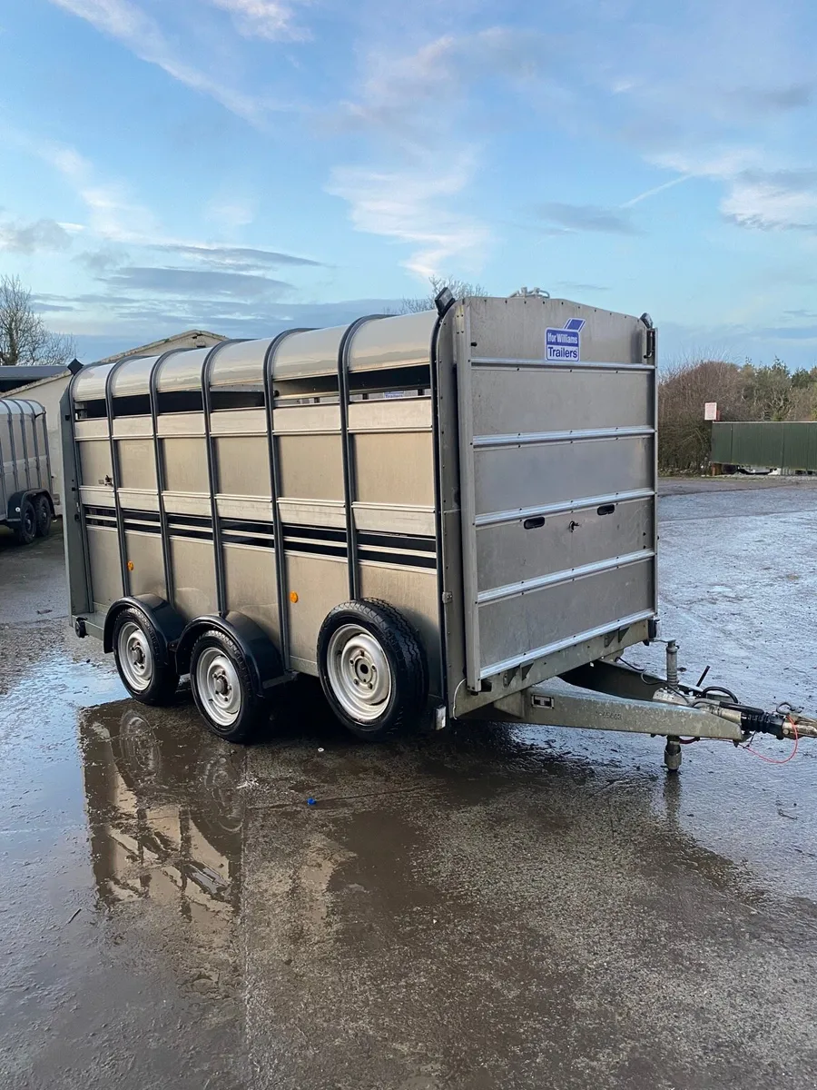 CJS Ifor Williams Livestock Trailer - Image 1