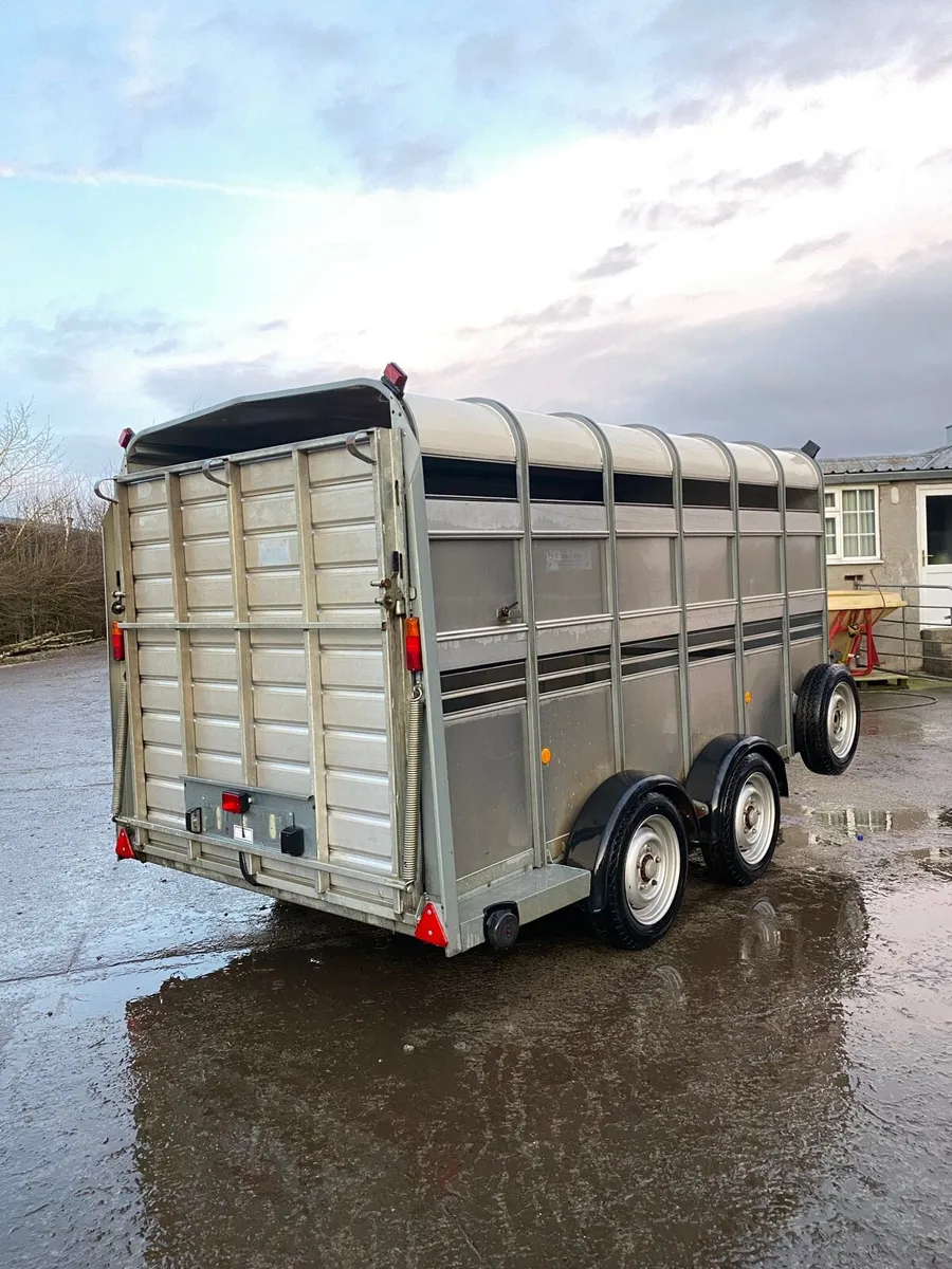 CJS Ifor Williams Livestock Trailer - Image 3