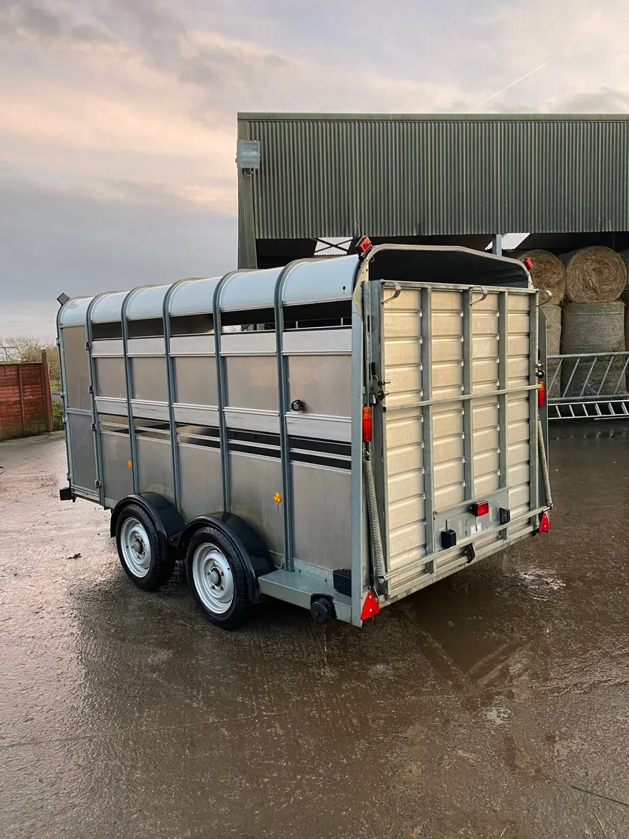 CJS Ifor Williams Livestock Trailer - Image 4